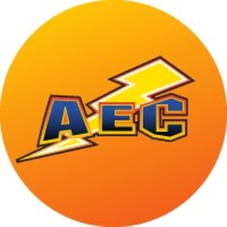 Anderson Electric logo