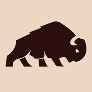 Terranova logo
