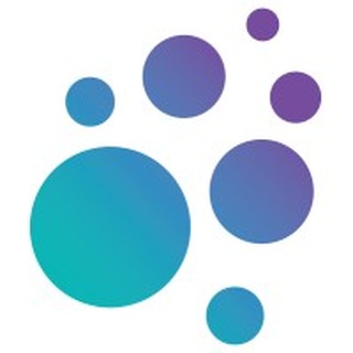 Schmidt Sciences logo