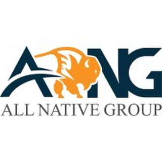 All Native Group, The Federal Services Division of Ho-Chunk logo