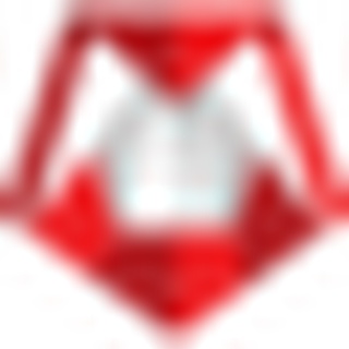 Sameday logo