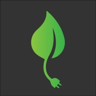 Eco Electrical Systems logo