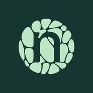 Novonesis logo