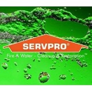 SERVPRO logo
