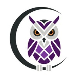 Noctua Technology logo