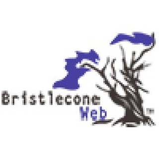 Bristlecone Web logo