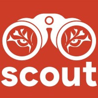 SCOUT Solutions logo