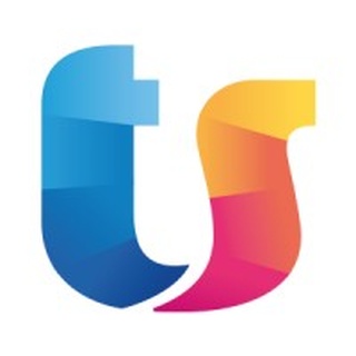 Team System logo