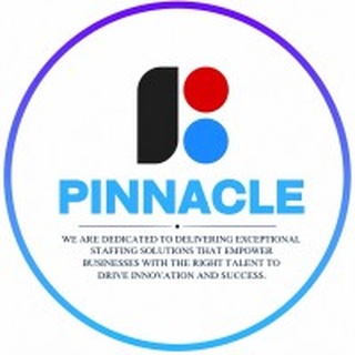 PINNACLE IT SOLUTIONS logo