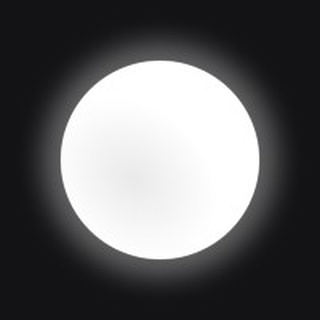White Circle logo