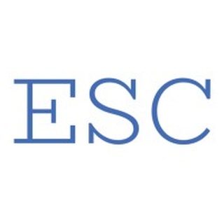 Eiden Systems Consulting logo