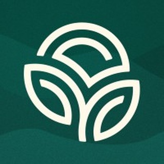 NSP logo