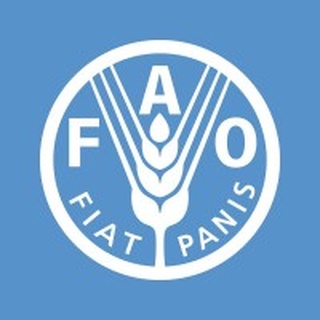FAO logo