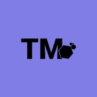 TALENT MATCHMAKERS logo