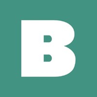 Badger Infrastructure Solutions logo