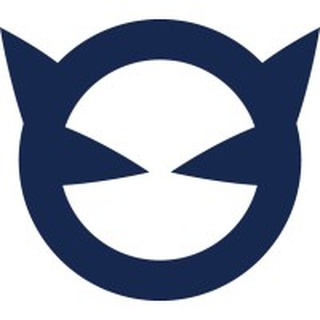 BlueCat logo